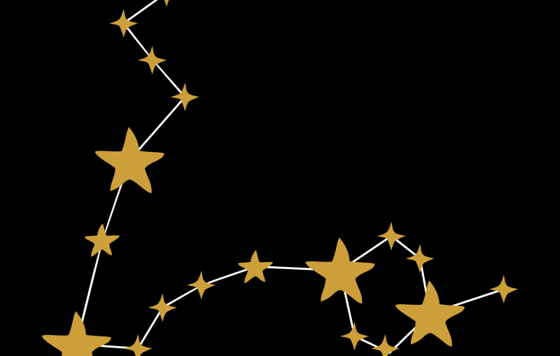 signe poissons, signe astrologique poissons, poissons, astrologie, astrogenese, astro genese, astrogénèse, astro génèse, poissons horoscope