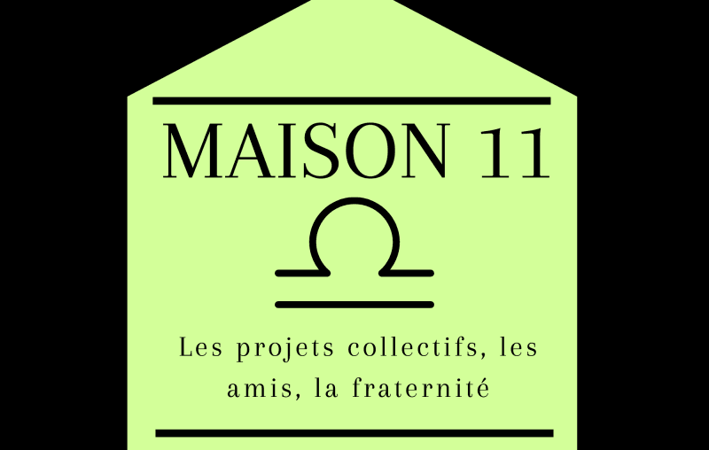 maison 11, astrologie, maison 11 en astrologie, astrogenese, astro genese, astrogénèse, astro génèse, astrologue nantes
